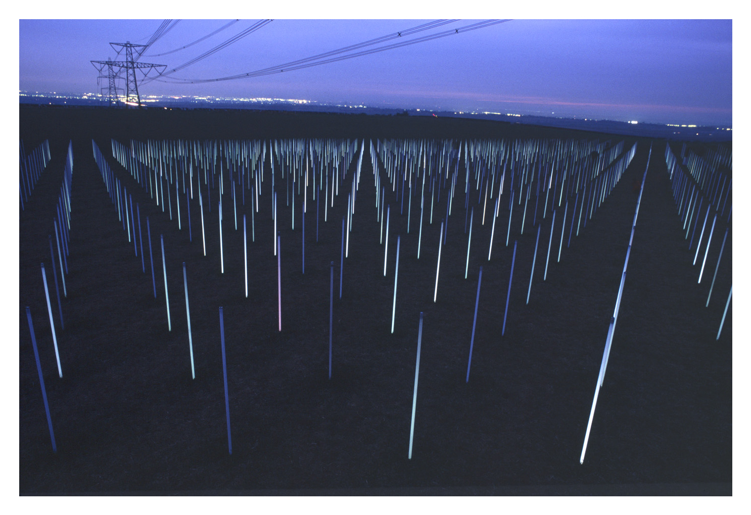 Photo of 'The field' by Richard Box showing many lights under a powerline